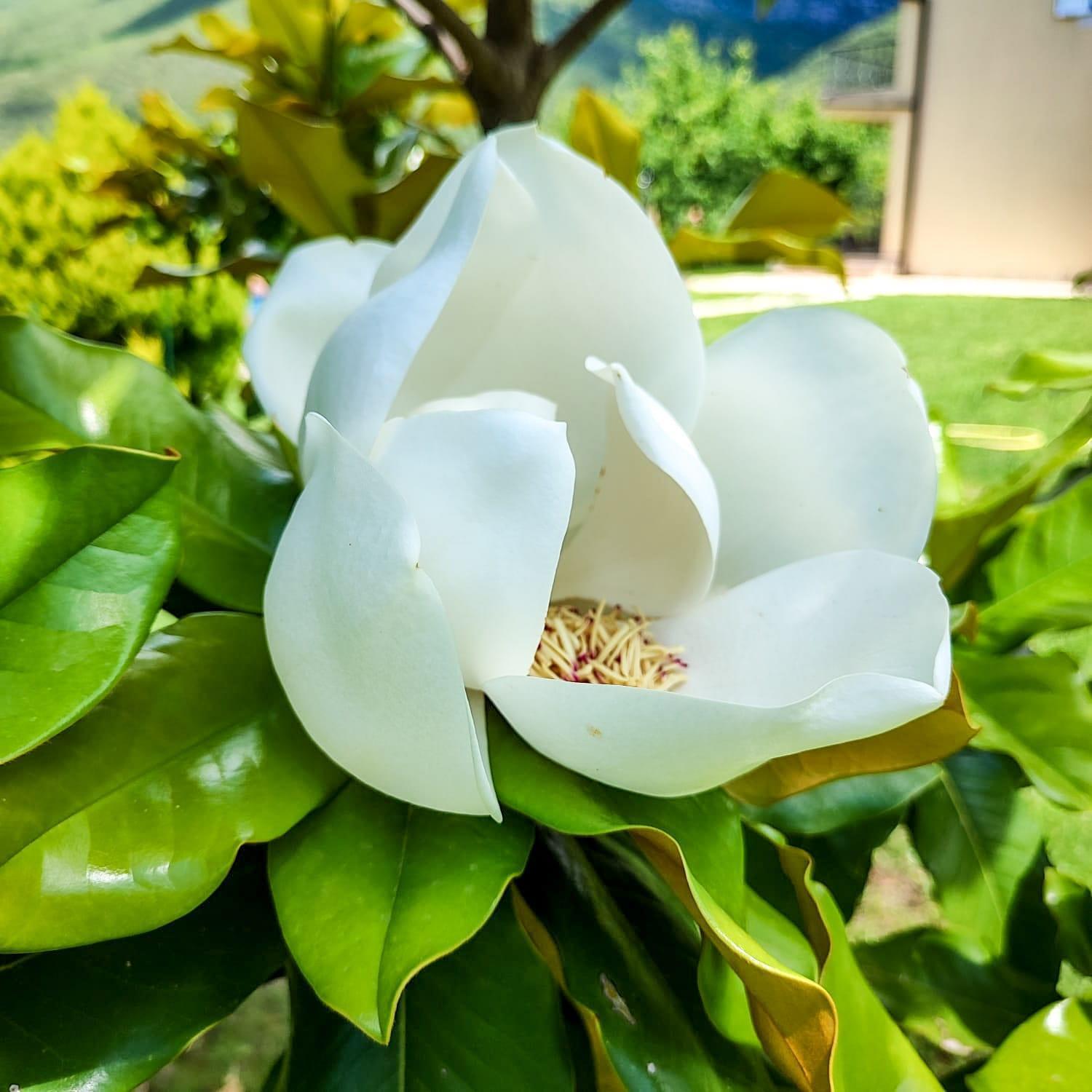Villa, Pool And Relax For 12 Persons Kuti 외부 사진